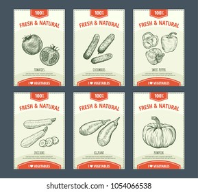 Vegetables banners set. Hand drawn  fresh and natural vegetables. Template for your design works. Vector illustration.