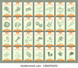 Vegetables banners set. Hand drawn  fresh and natural vegetables. Template for your design works. Vector illustration.