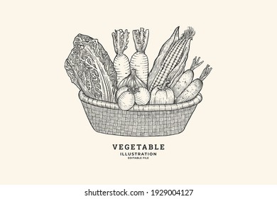 Vegetables Basket Hand Drawn Collection