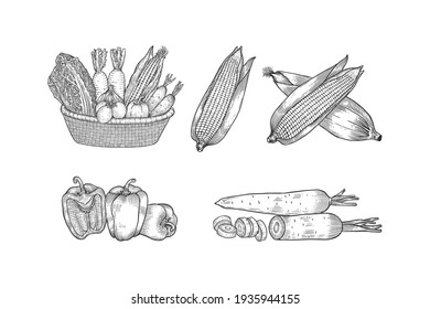 vegetables basket hand drawn set collection