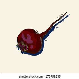 Vegetables beets with green leaves