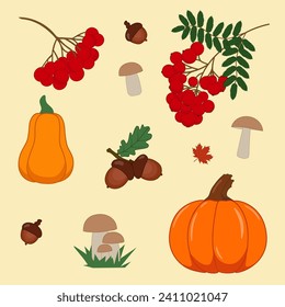 vegetables and berries, gifts of nature, harvest, autumn