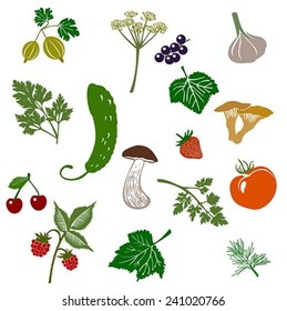 Vegetables, berries and greenery