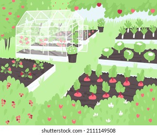 Vegetables and berries grow on a small farm in beds and a greenhouse. Cozy vegetable garden with healthy vegetables. Summer time of the year. Flat vector illustration.