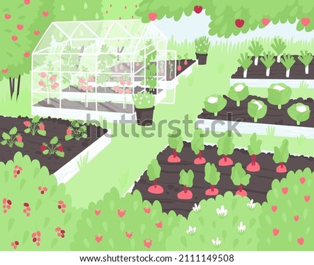 Vegetables and berries grow on a small farm in beds and a greenhouse. Cozy vegetable garden with healthy vegetables. Summer time of the year. Flat vector illustration.