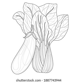 Vegetables. Bok choy cabbage and eggplant.Coloring book antistress for children and adults. Illustration isolated on white background.Zen-tangle style. Black and white drawing
