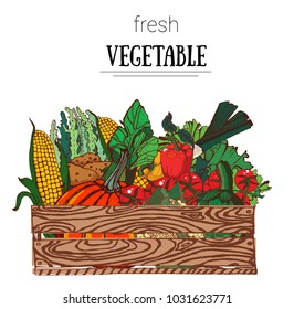 vegetables in box, hand drawing, white background, pumpkin, onion, corn, salad, tomatoes, vector