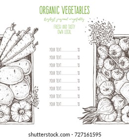 Vegetables in the box menu template. Hand drawn vector illustration. Engraved style. Harvest of vegetables. Farmers product price. Design for packaging.