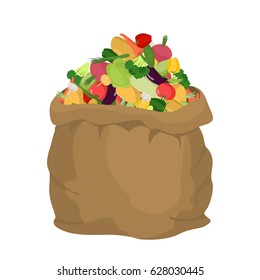 Vegetables Burlap bag. sack of veggies. big crop on farm. sackful vegies