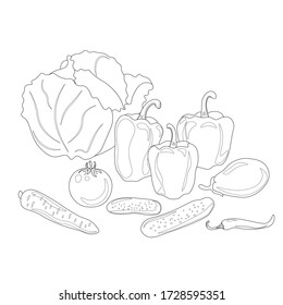 Vegetables. Cabbage, bell peppers, tomatoes, cucumbers, carrots, hot peppers, eggplant. Children's coloring book. Vector contour graphics.