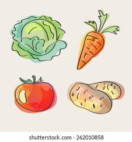 Vegetables: cabbage, carrot, tomato, potato. Paint style food design. Doodle background. Vector illustration.