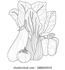 Verduras. Basura, berenjena, pimienta y tomate.Antirestrés del libro coloreado para niños y adultos. Ilustración aislada sobre fondo blanco. Estilo zenano-margino. Dibujo en blanco y negro