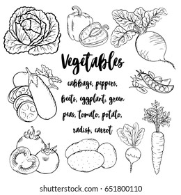 Vegetables, cabbage, peppers, beets, eggplant, green peas, tomato, potato, radish, carrot drawn contour