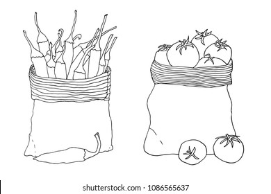 Vegetables in a canvas bag. Peppers and tomatoes. Hand drawn vector sketch set