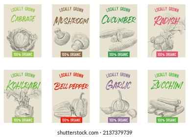 Vegetables cards set. Hand-drawn vintage sketchy illustration.