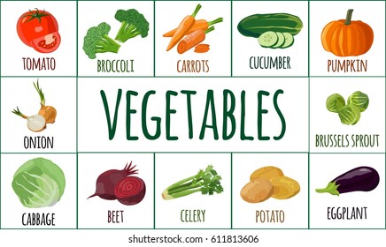 Vegetables. Cards for Your design. Vector illustration