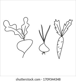 Vegetables carrots, beets and onions drawn in doodle style.
Vector outline illustration isolated on white background. Coloring Book Page