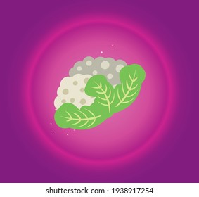 vegetables, cauliflower. vector image pink background in degrade