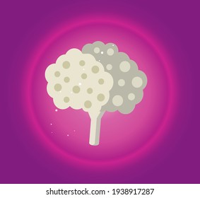 vegetables, cauliflower. vector image pink background in degrade