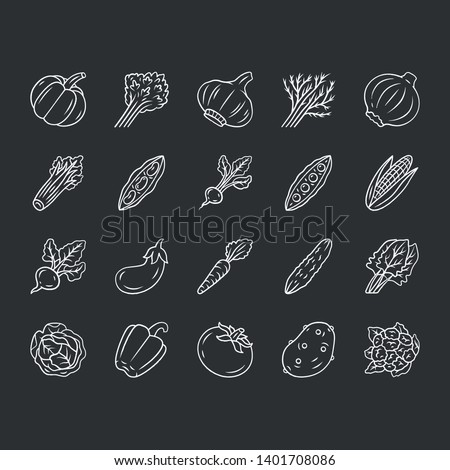 Vegetables chalk icons set. Potato, cabbahe, carrot, pepper. Soup and salad ingredients. Vitamin and diet. Vegan and vegeterian food. Healthy nutrition. Isolated vector chalkboard illustrations