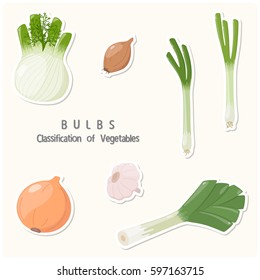 Vegetables classification in the theme of Bulbs sticker set