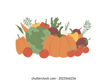 Vegetables collage. Composition of harvest with eggplant, bell pepper, pumpkin. Gourd, cabbage, tomato on branch, beet, onion and carrot with leaves. Vector print with garden food isolated on white.