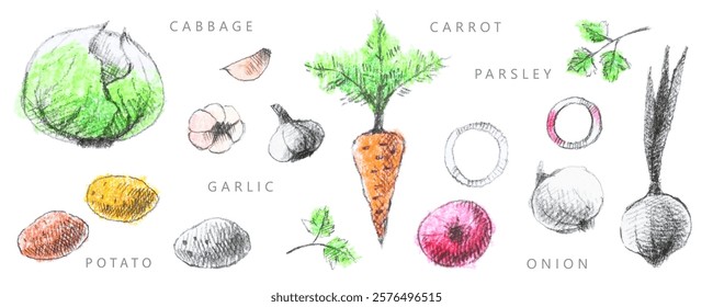 Vegetables collection: carrot, garlic, onion, parsley, cabbage, potato. Hand-drawn set, graphics. Pencil drawing with colorful pastel elements. Vintage.