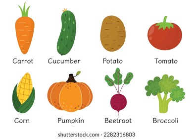 Vegetables collection in cartoon style. Healthy food set or poster with vegetables and their names. Great for recipes, cookbook and vegan prints. Pumpkin, corn, tomato and other. Vector illustration