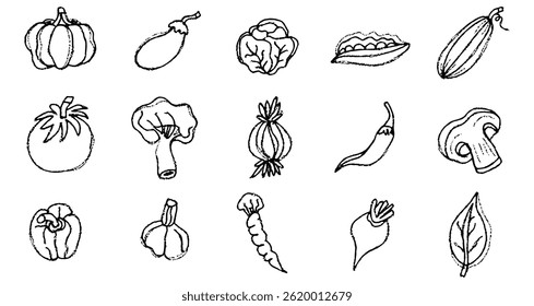 Vegetables collection, crayon pencil doodle sketch