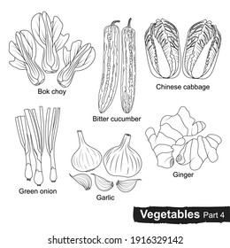 Vegetables collection drawn with lines on white background. Bok choy,bitter cucumber, chinese cabbage, green onion, garlic, ginger.vector illustration