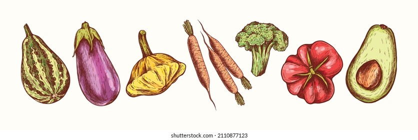 Vegetables collection in engraving style. Vector Hand Drawn. Sketch Botanical Illustration. Eco healthy food. Superfood. Line art zucchini, eggplant, patisson, carrot, broccoli, tomato, avocado