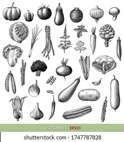 Vegetables collection hand draw engraving vintage style black and white clip art isolated on white background