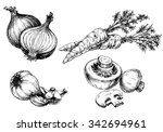 Vegetables collection, hand drawn vintage style