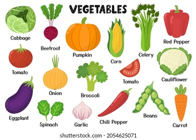 Vegetables Collection Healthy Food Isolated Elements Stock Vector ...