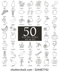 Vegetables collection. Healthy vegetarian food. Vintage black and white illustration in the style of engravings. Hand drawn food vector background.
