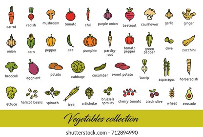 Vegetables collection. Healthy vegetarian food icons set. Isolated vector illustration