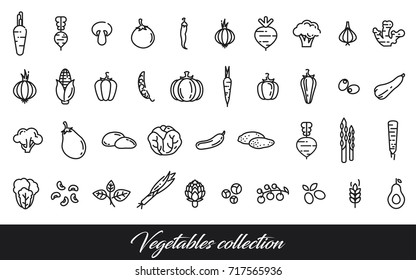 Vegetables collection. Healthy vegetarian food. Vector icon set. Modern line style illustrations. Isolated background