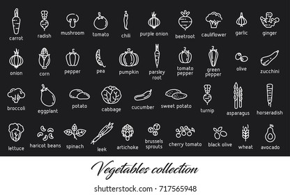 Vegetables collection. Healthy vegetarian food icons set. Isolated vector illustration