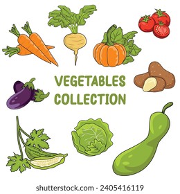 vegetables collection illustration vector set