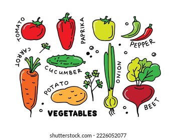 Vegetables collection isolated on white background. Doodles vector illustration. Design element for fabric, wallpaper, wrapping paper, menu, farm product promotion, healthy food, culinary.