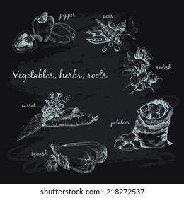 Vegetables collection. Set of hand drawn graphic illustrations.