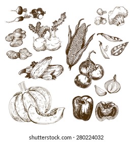 13,291 Vegetables scribble Images, Stock Photos & Vectors | Shutterstock