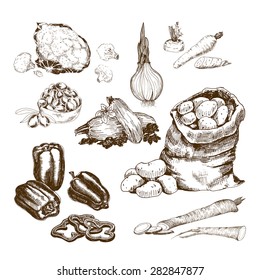 Vegetables collection. Set of hand drawn graphic illustrations. 