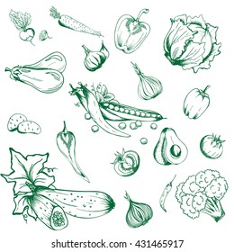 Vegetables collection. Set of hand drawn graphic illustrations
