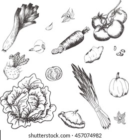 Vegetables collection. Set of hand drawn graphic illustrations