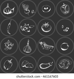 Vegetables collection. Set of hand drawn icons of graphic illustrations