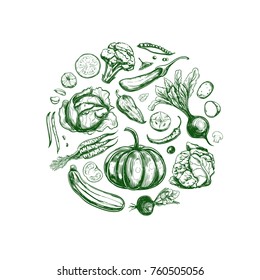Vegetables collection. Vector hand drawn illustration. Isolated objects on white. Sketch style