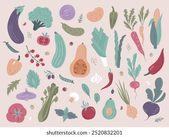 Colección de verduras. Ilustración vectorial en estilo plano. Calabaza, Tomate, Brócoli, Zanahoria, Cebolla, Rábanos, Maíz, Remolacha, Pimienta, Pepino, Patata, Champiñones, Berenjena, Aceitunas, Calabacín, Hierbas. 