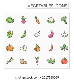 Vegetables color icons set. Edible plant. Vegetarian, healthy nutrition. health benefits. Agriculture concept. Isolated vector illustrations