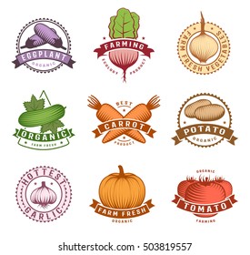 Vegetables colorful labels set with potato pumpkin and cucumber beet tomato and eggplant isolated vector illustration